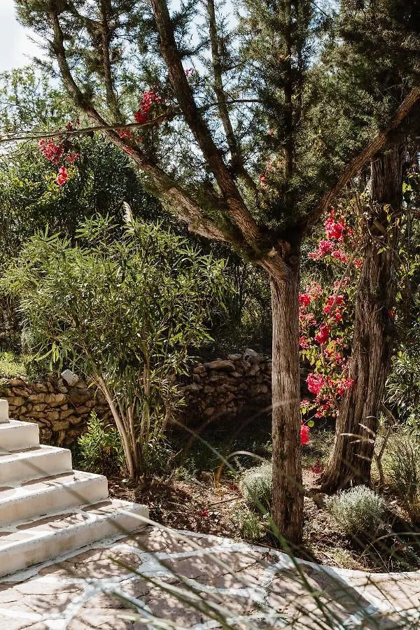 Can Vistabella Boutique Resort San Antonio  0*, San Antonio (Ibiza)
