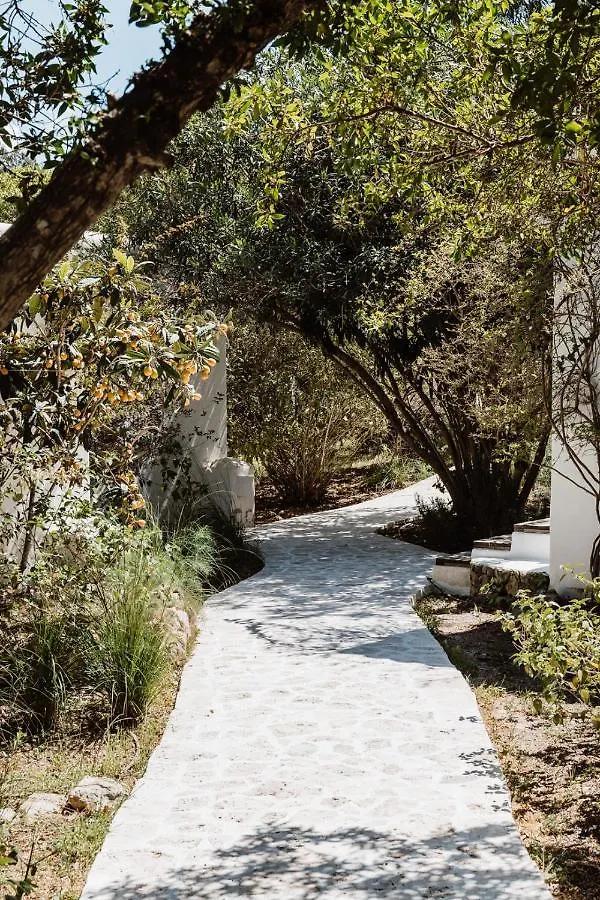 Can Vistabella Boutique Resort San Antonio  0*, San Antonio (Ibiza) Spain